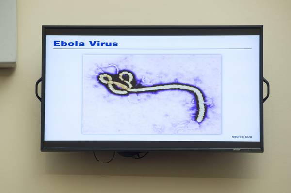 Roma, Giuseppe Ippolito, Direttore scientifico dell’Istituto Spallanzani: “Il rischio di contagio dell’Ebola in Italia non c’è”