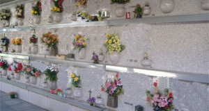 Avellino, la vendita dei fiori in occasione della Commemorazione dei Defunti avverrà nello spiazzo antistante la Curva Nord dello Stadio Partenio-Lombardi