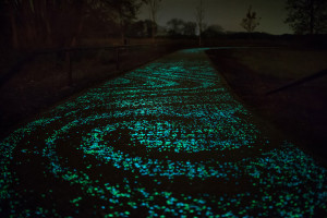 Van Gogh. Starry night. Bicycle path. Daan Roosengaarde