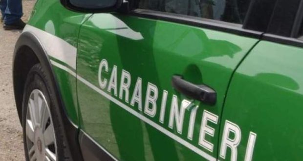 Avellino, 70enne denunciato dai Carabinieri Forestali per abbruciamento di residui vegetali