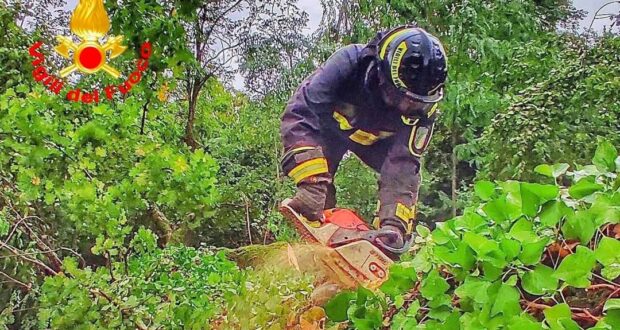 Maltempo in Irpinia: continui interventi dei Vigili del Fuoco per caduta di alberi ed allagamenti