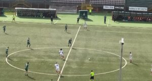 Avellino – Picerno  0 – 2, altra cocente delusione per i tifosi biancoverdi