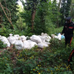 Montefusco, illecito smaltimento di rifiuti speciali: imprenditore denunciato dai Carabinieri