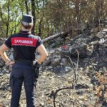 Avellino, lotta agli incendi boschivi: i Carabinieri Forestali rafforzano i controlli in tutta l’Irpinia