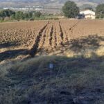 Sturno, si ripete la tradizione del Solco di San Michele