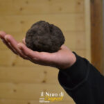 Bagnoli Irpino, al via il 23 ottobre la XLVII Mostra Mercato del Tartufo Nero: nel centro storico stand di artigianato e prodotti tipici locali