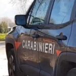 Avellino, contrasto ai reati ambientali: quattro persone denunciate dai Carabinieri Forestali